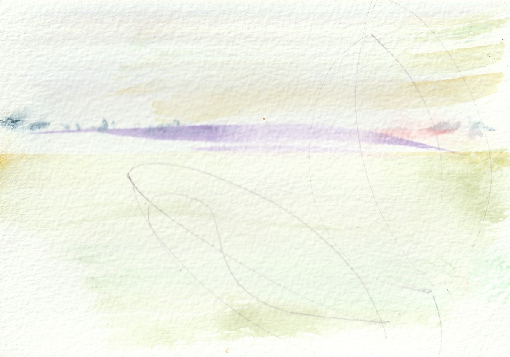 Bulb Fields X